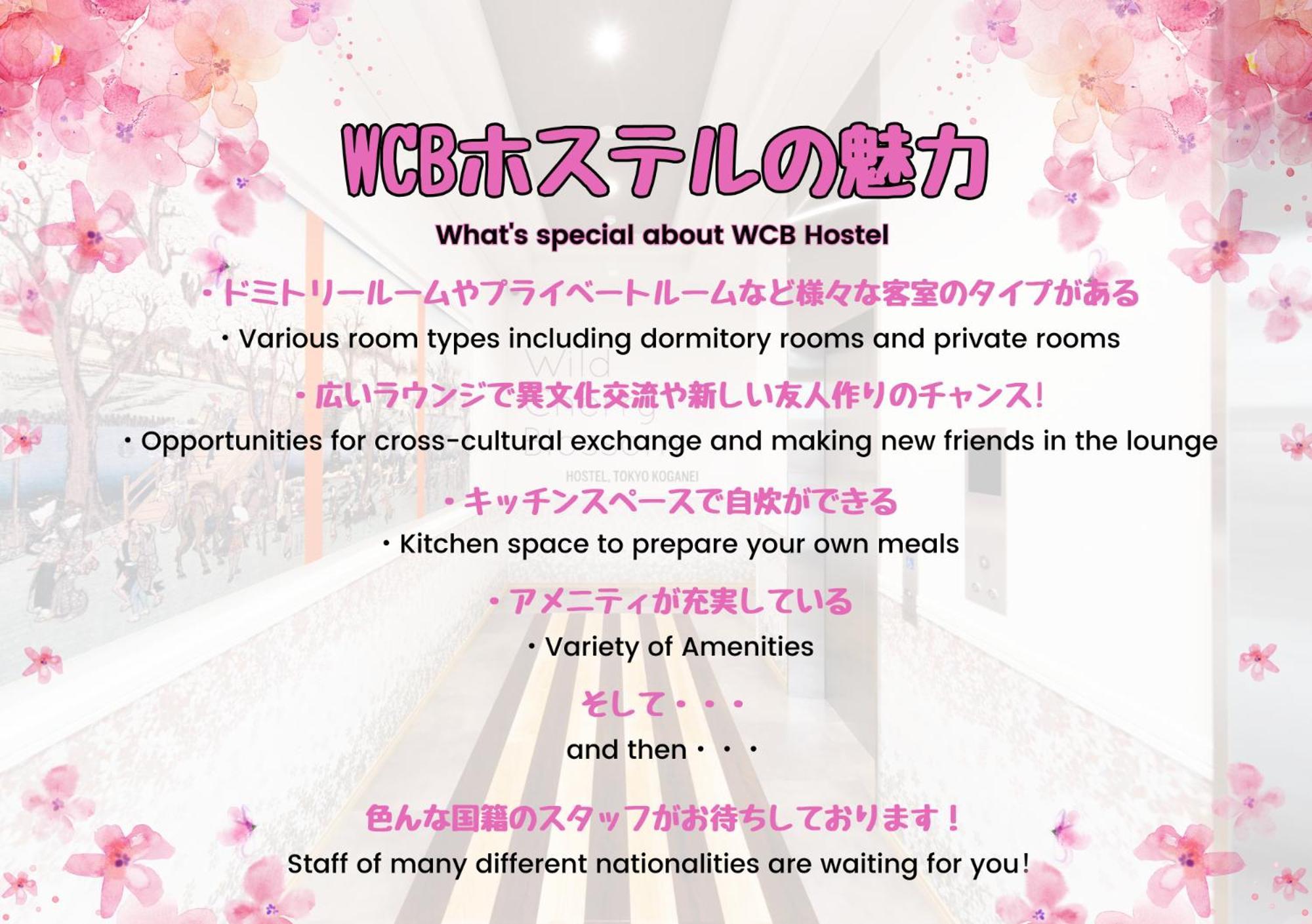 Wild Cherry Blossom-Hostel,Tokyo Koganei- מראה חיצוני תמונה